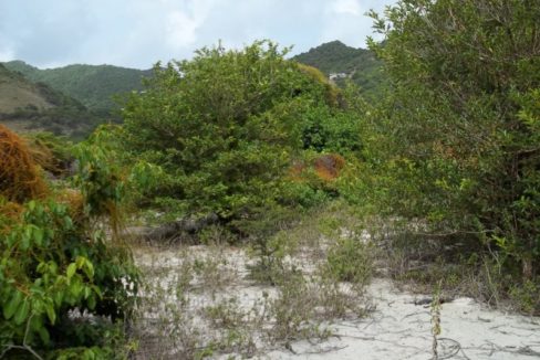 The Site With The Mountains Behind